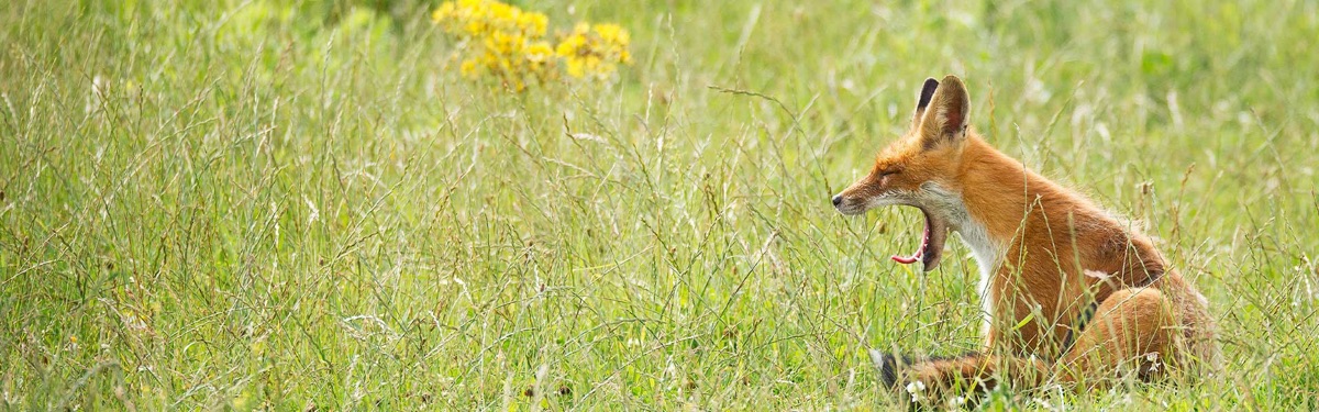 3 Boring but Effective Ways to Grow Your Agency