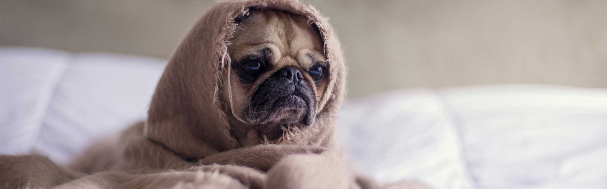 Is Cash Flow Keeping You Up at Night?