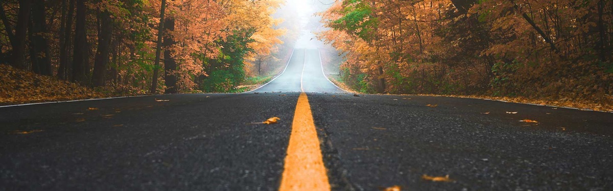 What Does a Business Growth Strategist Do? (And When You Need One)