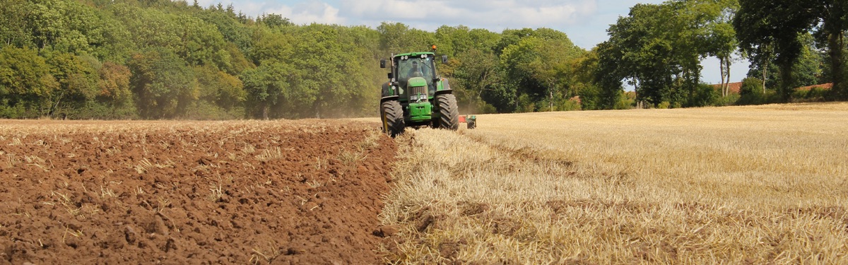 Featured image for Design Agency Sales Strategies: Social Selling