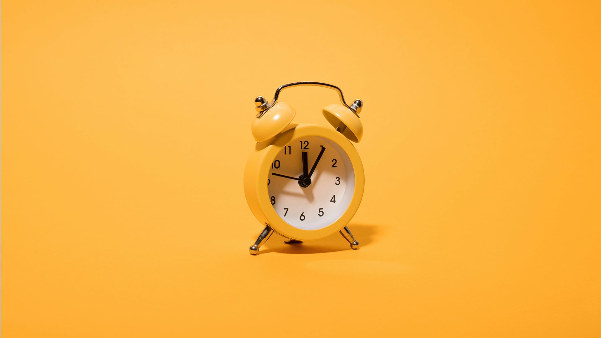 time audit for business owners